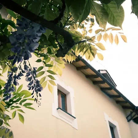 劳力塔诺宫殿旅馆