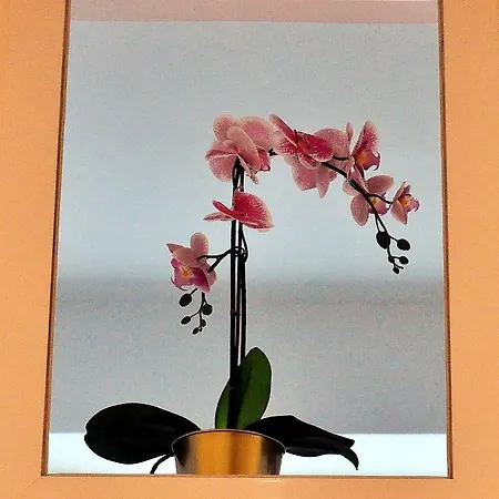 劳力塔诺宫殿旅馆 4*