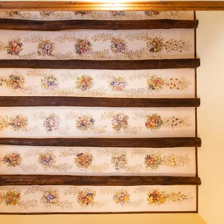 劳力塔诺宫殿旅馆 4* 阿杰罗拉