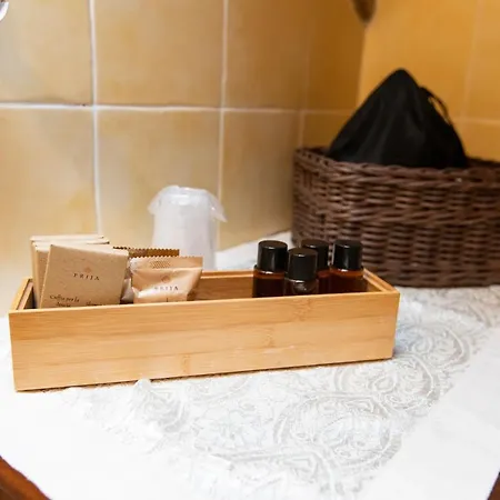 招待所 劳力塔诺宫殿旅馆 4*